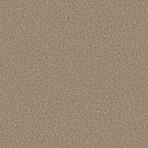 PRESCOTT VALLEY by Shaw Floors - Nutshell