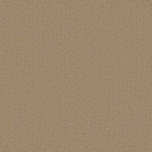 CLEVER DESIGN by Shaw Floors - Worn  Path