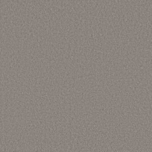 LAS CRUCES by Shaw Floors - Willow Creek