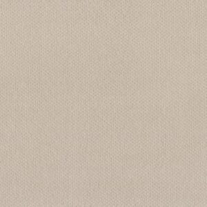 AUSTIN PARK by Shaw Floors - Alabaster