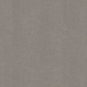 CEDAR CITY by Shaw Floors - Antique Gray