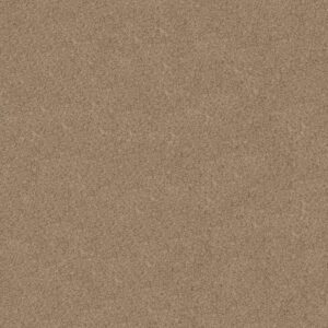 CANYON LAKE by Shaw Floors - Basic Tan