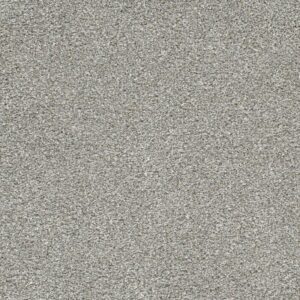 LUCKY PENNY III by Dreamweaver - Frost 2591