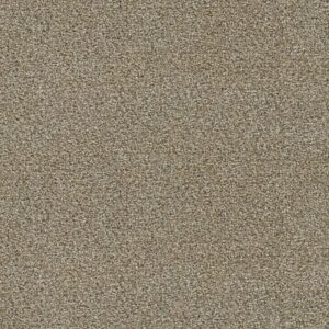 CLEARWATER III by Dreamweaver - Toasted Oat 774