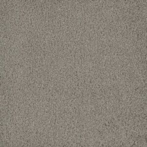 HAMMOND CREEK I by Dreamweaver - Silver Birch 800