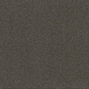 BLAZER II by Dreamweaver - Smoky Quartz 4180