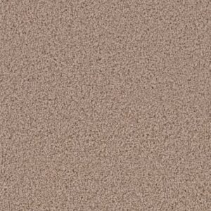 EXCEPTIONAL by Dreamweaver - Hazlenut Cream 775