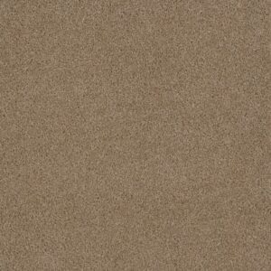 SHOWTIME by Dreamweaver - Sawgrass 701