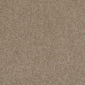 FIRST STEP by Dreamweaver - Biscotti 642