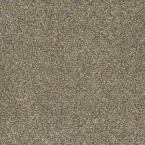 BRAZEN I by Dreamweaver - Olympic 156