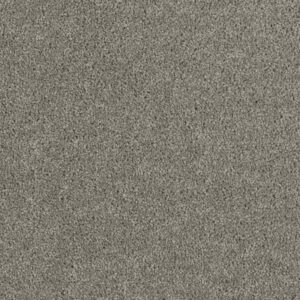 HOLLYWOOD by Dreamweaver - Dark Platinum 889
