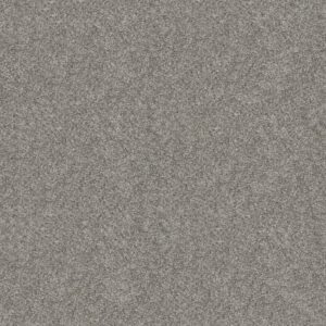 ELEVATED I by Shaw Floors - River Rock