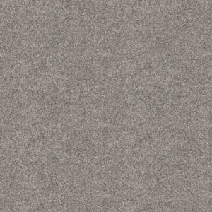 ELEVATED III by Shaw Floors - River Rock