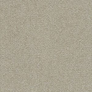 CLEARWATER III by Dreamweaver - Wheat Grass 4181