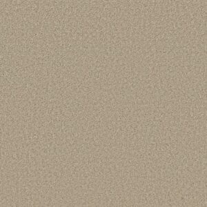 HIGH RANKING S by Shaw Floors - Paradise