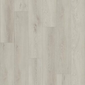 Paladin Plus by Shaw Floors - Warm Grey