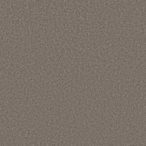 AFFIRMATION II NET by Shaw Floors - Granite