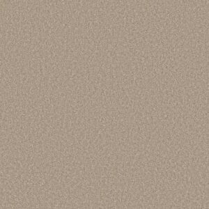 AFFIRMATION II NET by Shaw Floors - Loft Light