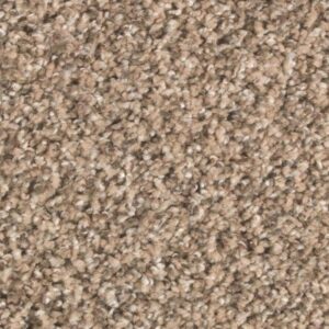 Nature's Elegance by Mohawk - Pebble Path