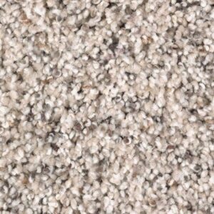 Soft Sensations II by Mohawk - Bungalow Beige
