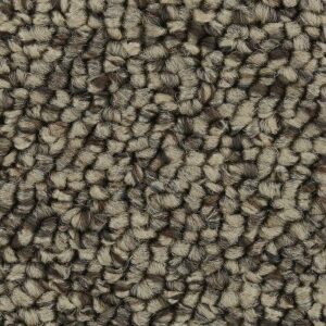 Pure Wonder by Mohawk - Quiet Beige