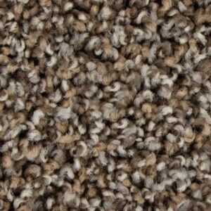 Color Fusion I by Mohawk - Driftwood