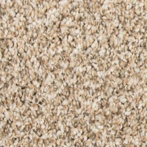 Color Fusion II by Mohawk - Rum Cream