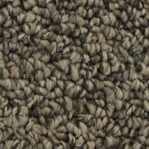 Pure Admiration by Mohawk - Warm Neutral