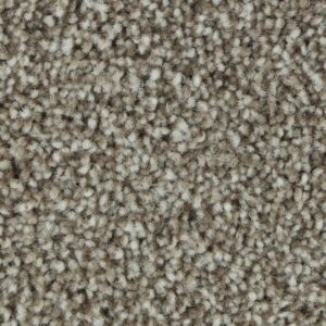 Polished Shades II by Mohawk - Prairie Dusk