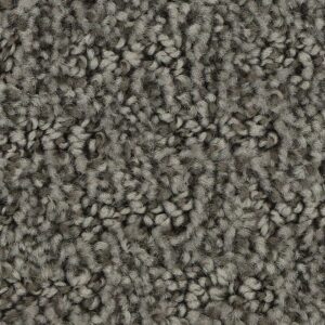 Stylish Tones by Mohawk - Shale