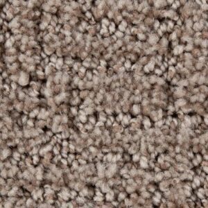 Stylish Edge by Mohawk - Desert Accents