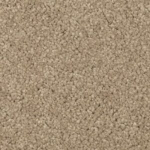 Natural Splendor II by Mohawk - Brushed Suede