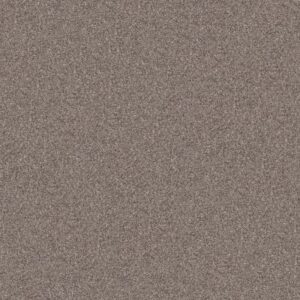 INLET SHORE II 12' by Shaw Floors - Smooth Satin