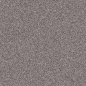 INLET SHORE II 12' by Shaw Floors - Overcast