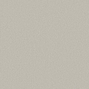 COMFORTING II by Shaw Floors - Thin Ice