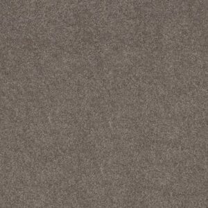 GRAND OUTLOOK by Shaw Floors - Homestead