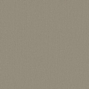 AUSTIN PARK by Shaw Floors - Studio Taupe