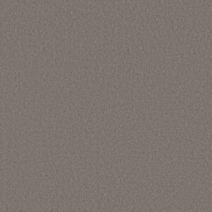 LAS CRUCES by Shaw Floors - Silhouette