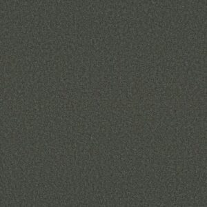 LAS CRUCES by Shaw Floors - Fig Leaf
