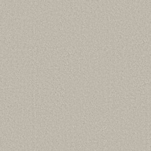 CLEVER BLEND by Shaw Floors - Almond Silk