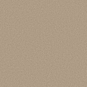 DEL RIO II by Shaw Floors - Hayloft
