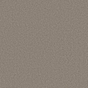 DEL RIO II by Shaw Floors - Driftwood
