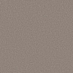 PRESCOTT VALLEY by Shaw Floors - Chic Taupe