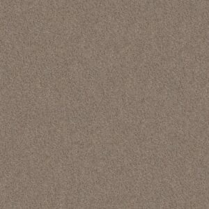 CANYON LAKE by Shaw Floors - Mesa Taupe