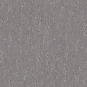 CALM EXPRESSION by Shaw Floors - Anchor