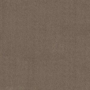 CANYON LAKE by Shaw Floors - Granite