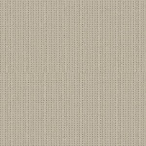 SAN ANTONIO by Shaw Floors - Natural