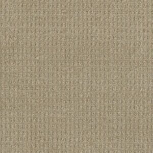 PERFECT BALANCE by Dreamweaver - Papaya 2655