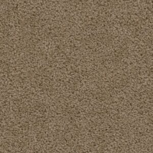 SWEEPSTAKES by Dreamweaver - Honey Beige 510