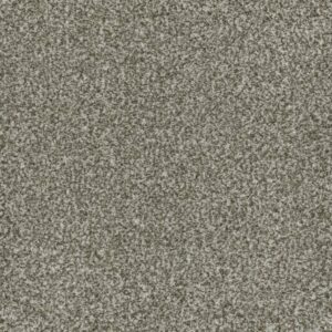 BRAZEN II by Dreamweaver - Clove 848